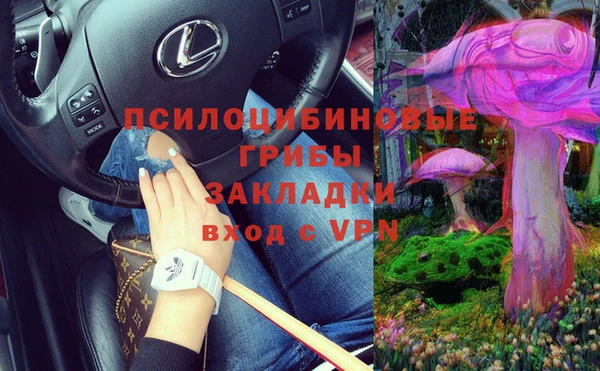 бошки Абинск