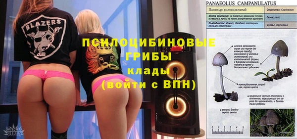 бошки Абинск